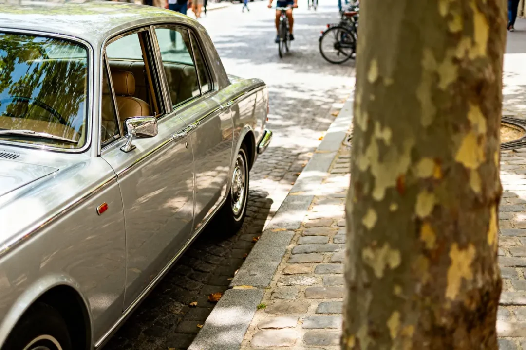 Voiture ancienne type RR Silver Shadow garée sur rue pavée près d'un arbre